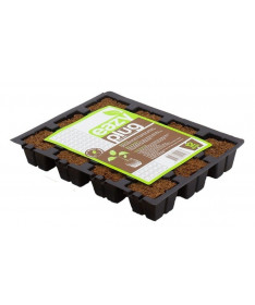 Eazy Plug Seed Sowing Tray 12 pcs.
