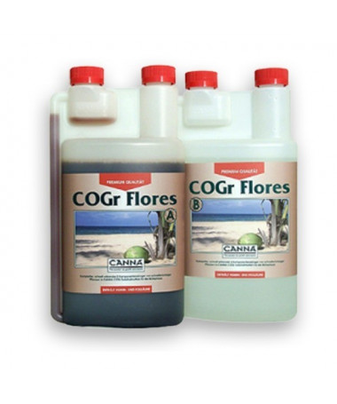 CANNA COCO COGR FLORES A/B 2*1L