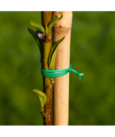 HORTICULTURAL WIRE 50M - 4