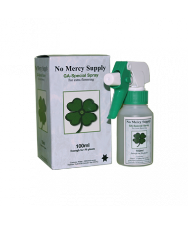 No Mercy Gibberelic Acid Spray 250ml kwas giberalinowy - 2 - Hormon roślinny i jego znaczące oddziaływanie na wzrost i rozwój ro