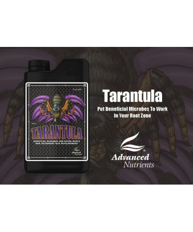 Erweiterte Nährstoffe Tarantula 250ml