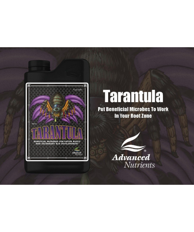 Erweiterte Nährstoffe Tarantula 10l