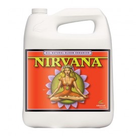 Nirvana 1l 100% natürliche Vitamine, Aminosäuren und Kohlenhydrate