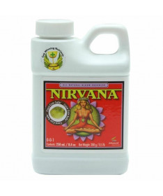 Nirvana 1l 100% natürliche Vitamine, Aminosäuren und Kohlenhydrate