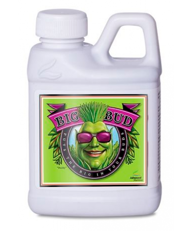 Big Bud 250ml Flowering Accelerator