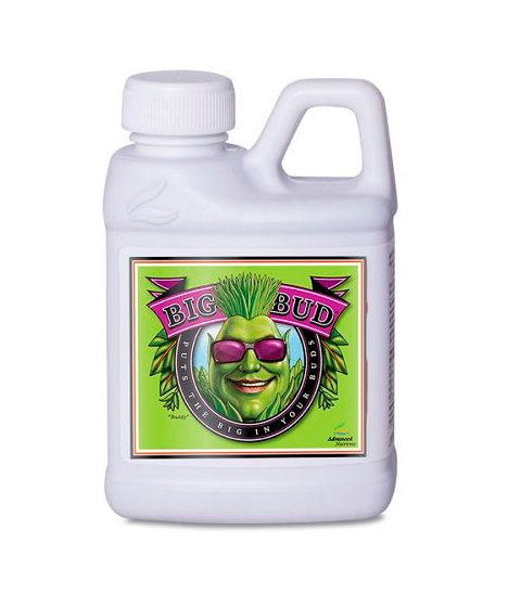 Big Bud 250ml Blühbeschleuniger