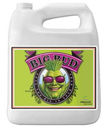 Big Bud 250ml Flowering Accelerator