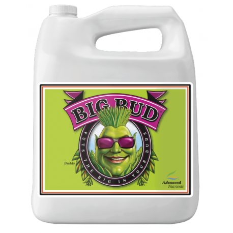 Advanced Nutrients Big Bud 10l Blühbeschleuniger