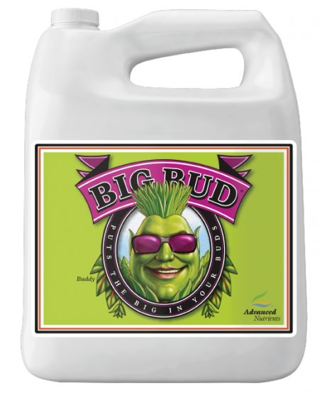 Big Bud 10l Flowering Accelerator