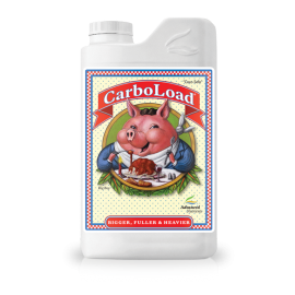 Carboload 1l Erweiterte Nährstoffe Carboload 1l