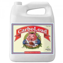 Carboload 500ml Erweiterte Nährstoffe Carboload 500ml