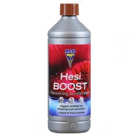 Hesi Boost 1l - Highly concentrated flowering gas pedal
