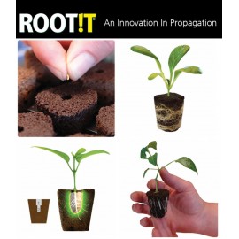 ROOT RIOT REPLACEMENT CUBES 100PCS GROWTH TECHNOLOGY