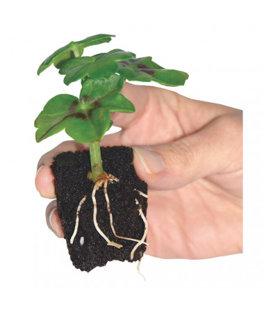 GROWTH TECHNOLOGY ROOT RIOT REPLACEMENT DICE 50PCS - 3