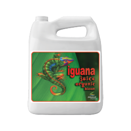 Leguan-Saft Bloom 10l Erweiterte Nährstoffe