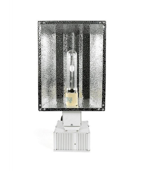 TOPHORT LUMINAIRE + POWER SUPPLY 315W CMH - 1