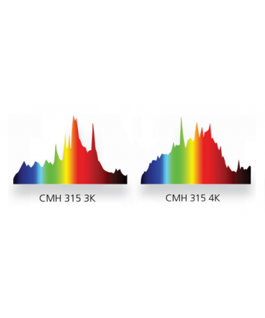 TOPHORT LEUCHTE + STROMVERSORGUNG 315W CMH - 3