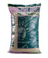 CANNA ZIEMIA TERRA PROFESSIONAL 50L 