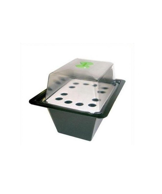 Propagator Nutriculture - 12 sadzonek