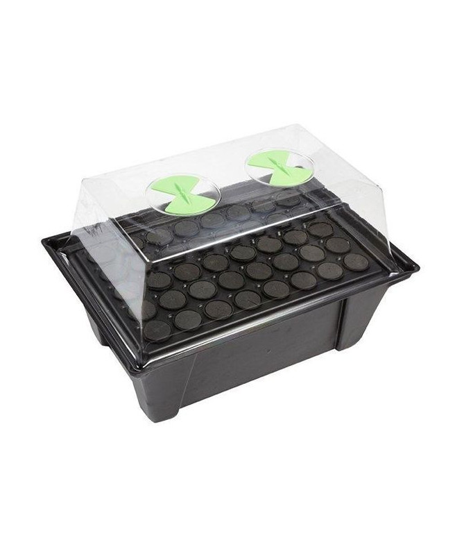 Propagator Nutriculture - 40 sadzonek