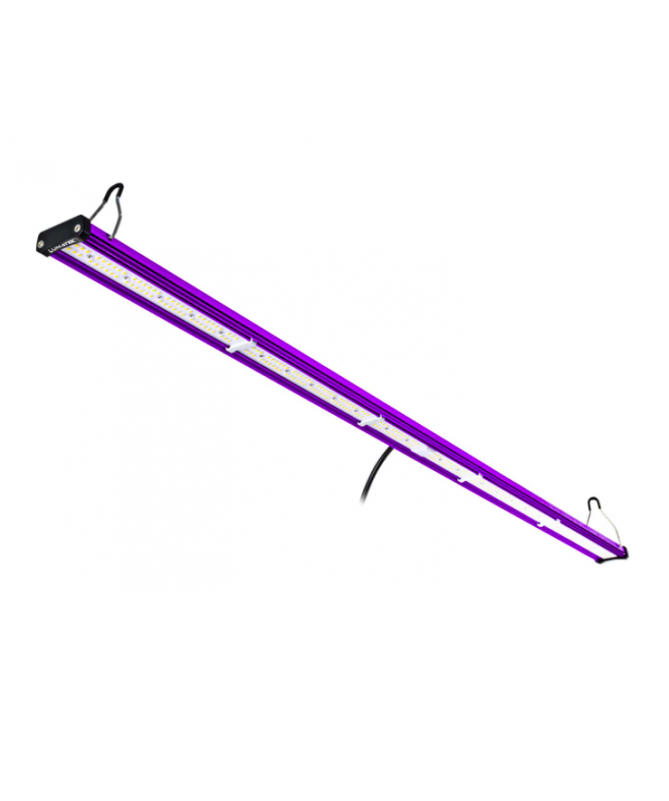 Lumatek 100W LED BAR, ergänzende Lampe