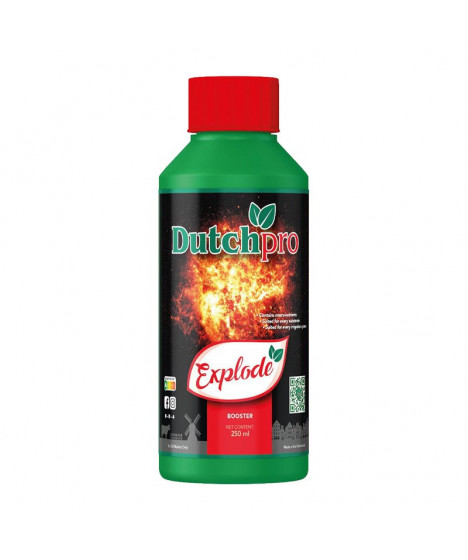 -30% LAST PIECE DUTCHPRO EXPLODE 250ML - 1