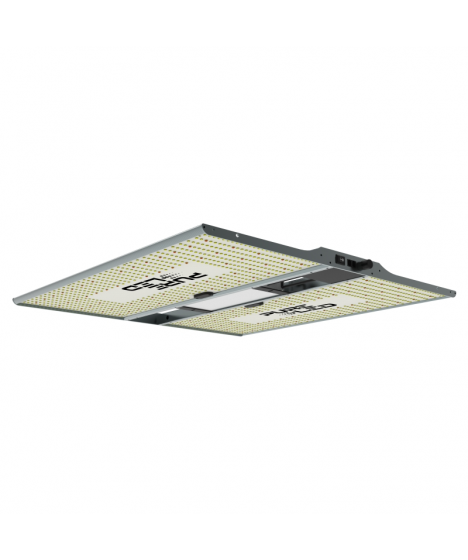 Pure LED Q240 v2 lamp ( 240w ) - 1