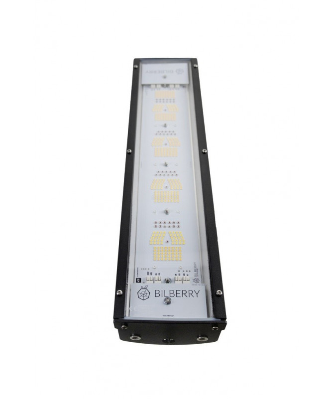 BILBERRY LED 160W