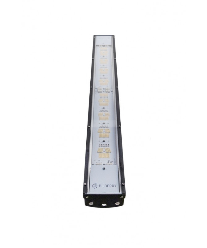 BLAUBEERE LED 340W