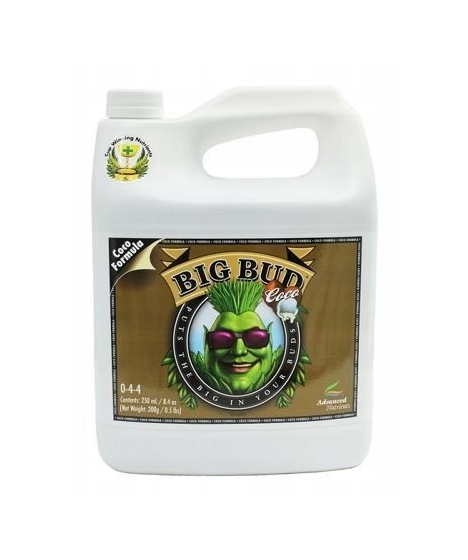 Big Bud Coco 5l Akcelerator kwitnienia