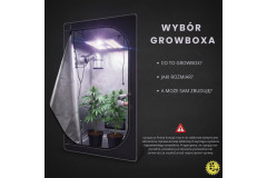 How to increase your cannabis yield — choosing a grow box (part 1)