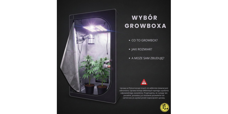 Wie man den Ertrag von Cannabis steigert – Auswahl einer Growbox oder eines Zeltes (Teil 1)