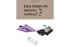 Welche Lampe für den Anbau wählen? – Serie „Wie kann man den Ertrag steigern, Teil 2”