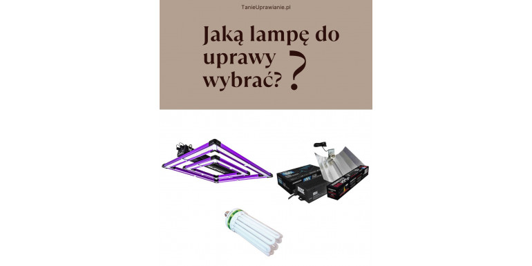 Jaką lampę do uprawy wybrać? - seria Jak zwiększyć plon (cz2)