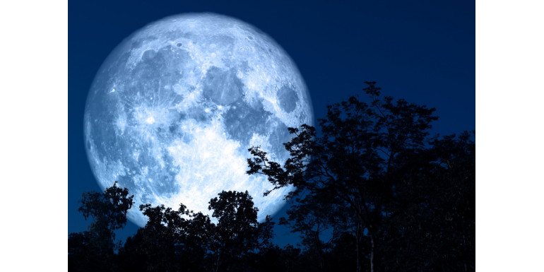 Indoor and outdoor lunar calendar for 2026 – Specific days (part 2)