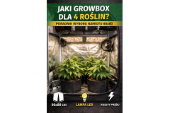 Jaký growbox pro 4 rostliny? Kompletní průvodce výběrem pěstebního stanu
