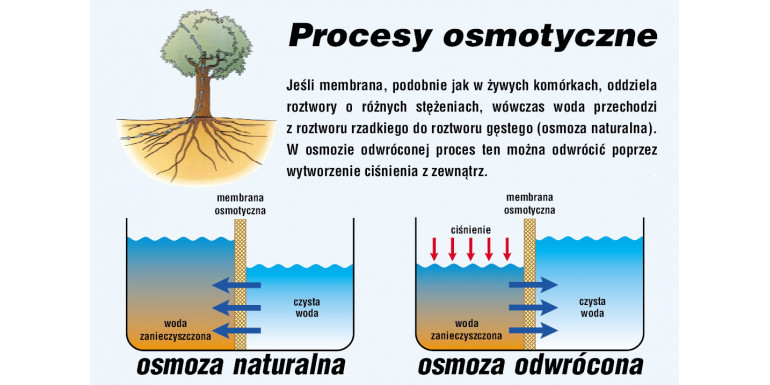 Zadbaj o czystą wodę dla swoich roślin! Filtry odwróconej osmozy