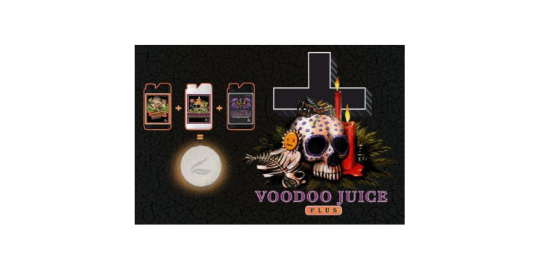 Voodoo Juice PLUS najlepsze bakterie i mikoryza do Twoich roślin w jednym produkcie