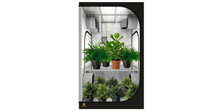 Poznaj Tajniki Uprawy Roślin w Growshopie TanieUprawianie.pl
