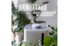 Nawilżacz powietrza, czym się kierować i czy jest niezbędny?