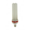 CFL-Energiesparlampen