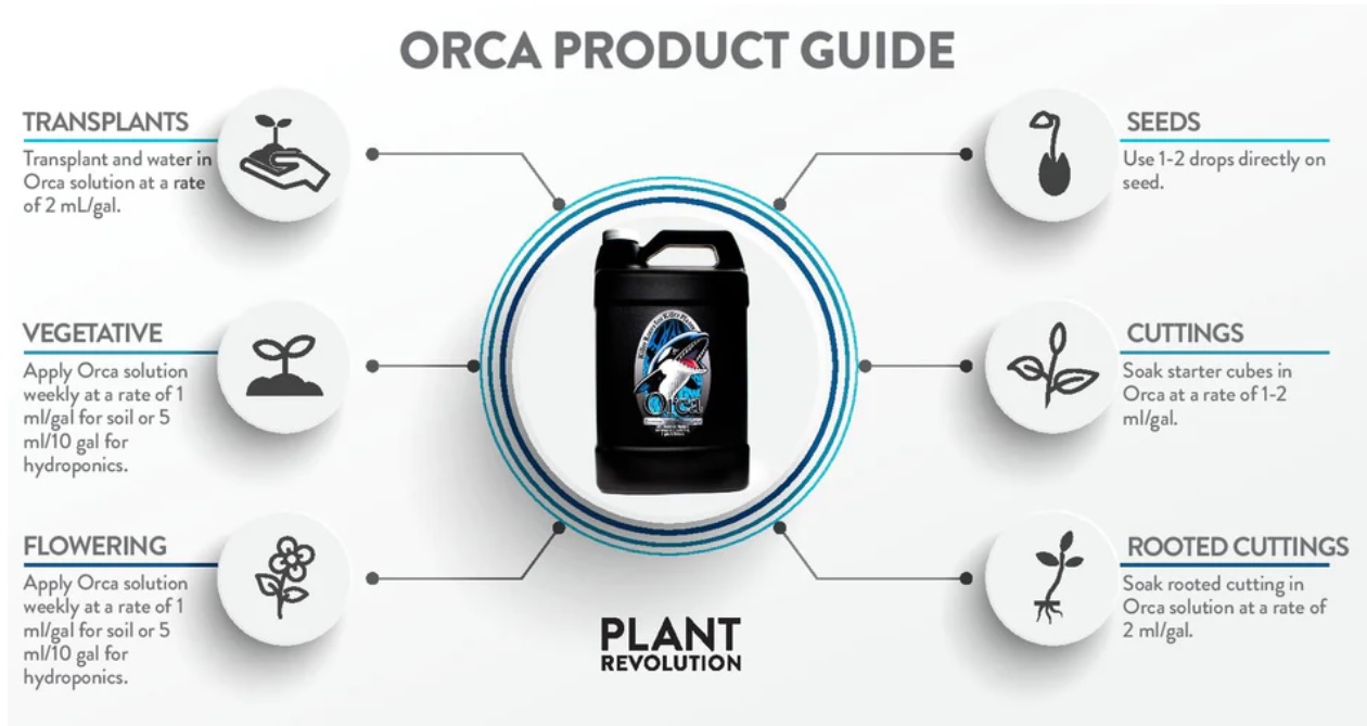 dosierung orca plant succes