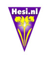 Hesi