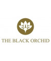 Black Orchid