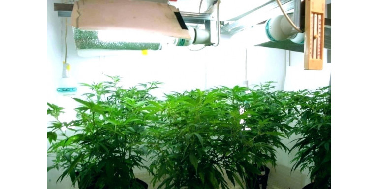 GROWSHOP MORENA PRZENIESIONY NA PELCZARA!