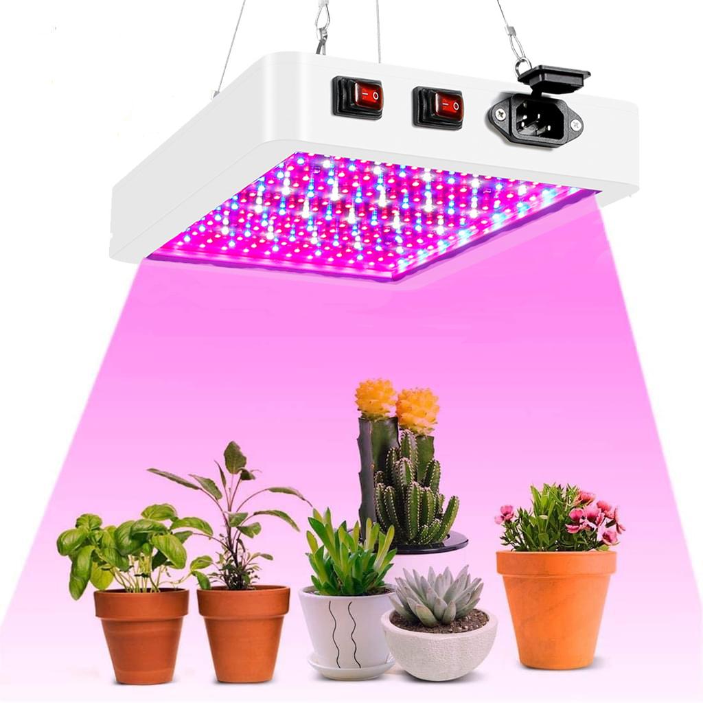 Oświetlenie dla roślin